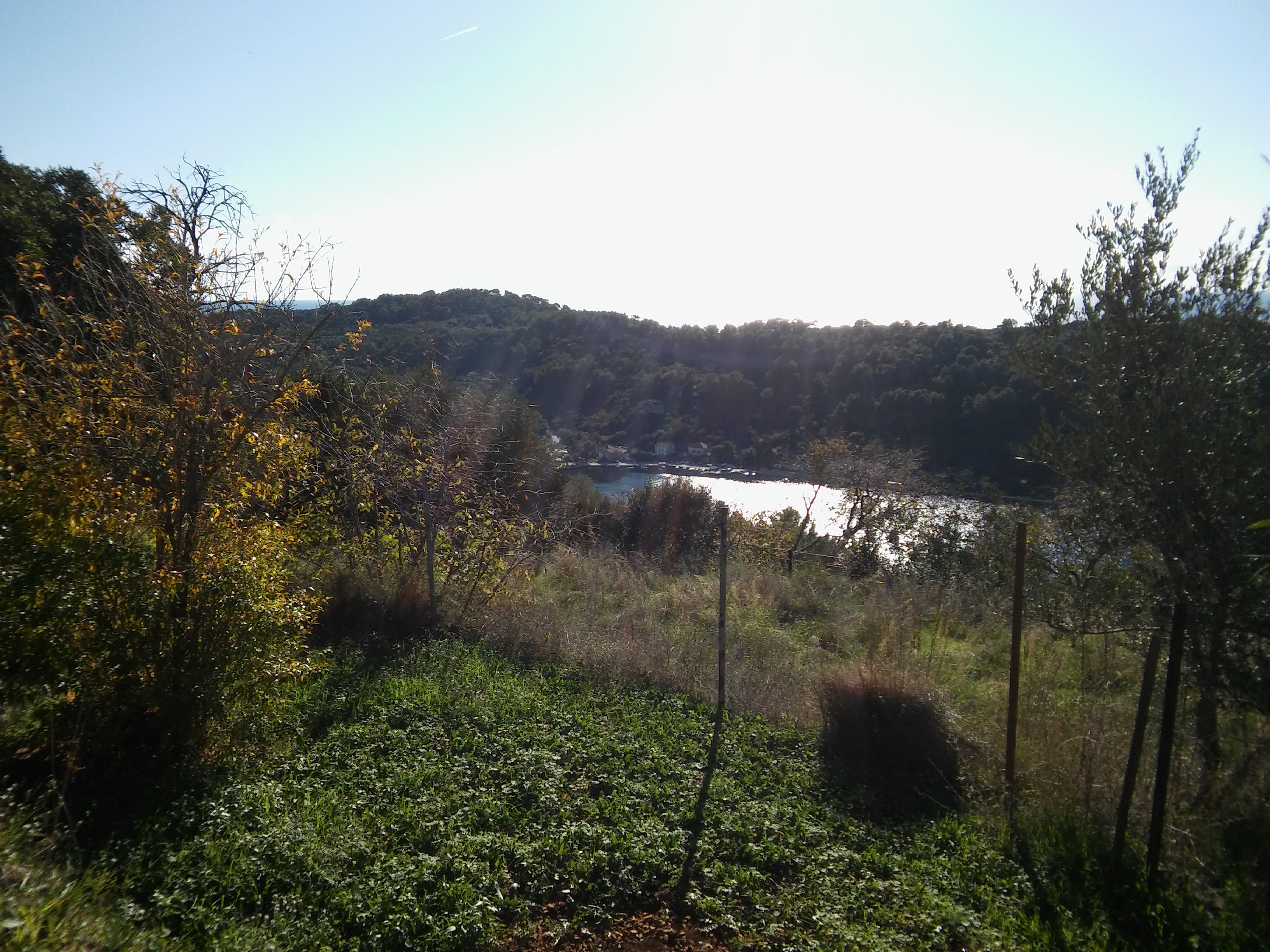 Pogled na Luku Šipansku