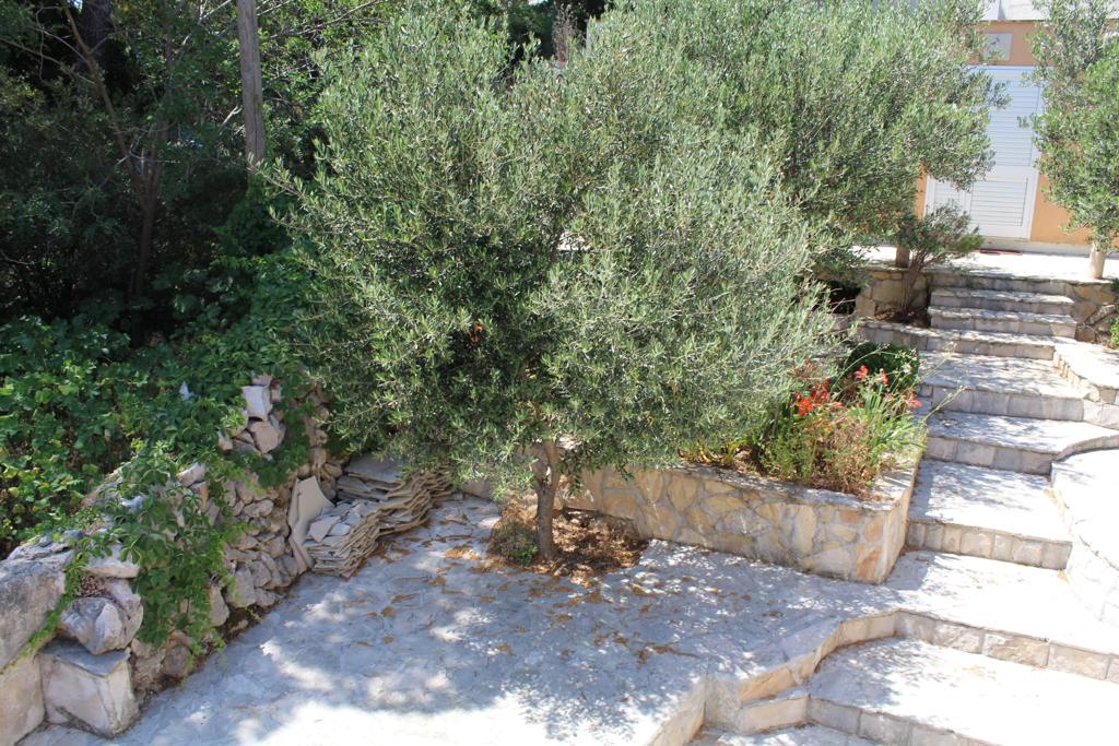 Uređeno dvorište i okućnica kuće na prodaju u Zatonu kraj Dubrovnika